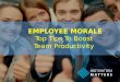 Employee Morale: Top Tips to Boost Productivity