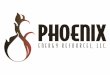 2. Phoenix_NON-CONFIDENTIAL_PowerPoint Synopsis Slides_Menas...03.31.16