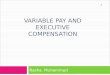 Variable Pay And Executive Compensation