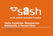 SASH : Pyoderma malodourous malassezia and fecund fleas by Dr Linda Vogelnest