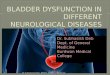 Bladder dysfunction in different neurological diseases