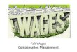 Fair wages -  compensation management - Manu Melwin Joy