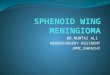 Sphenoid wing meningioma