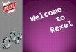 Roller Blinds Table -Rexel