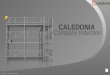 Online Caledonia Scaffolding Induction