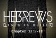 Hebrews chapter 12:5-12