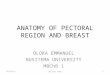 Pectoral region and breast surgical anatomy