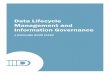 Data Lifecycle Management and Information Governance