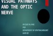 Visual pathways and optic nerve