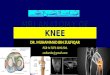 Mri anatomy of knee Dr. Muhammad Bin Zulfiqar