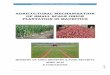 New Technologies in Agricultural Production