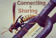 Connecting & Sharing in Thompson