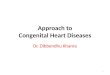 Dibu's approach to congenital heart disease