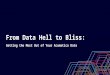 From Data Hell to Bliss: Getting the Most Out of Your Acumatica Data