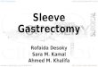 Sleeve gastrectomy effects on DM