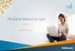 Goldmoney Inc. Investor Relations Presentation - June 2016