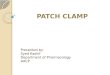 Patch clamp