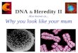 DNA & Heredity-II