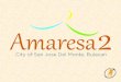 Amaresa 2 - Payment Terms