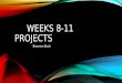 Weeks 8 11 projects