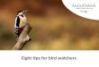Eight tips for bird watchers