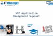 ITChamps - Application Management Services
