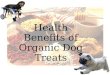 Health Benefits of Organic Dog Treats