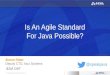 Is An Agile Standard Possible For Java?