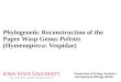 Phylogenetic Reconstruction of the Paper Wasp Genus Polistes (Hymenoptera: Vespidae)