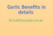 Garlic benefits in details vegatables