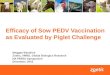 Dr. Meggan Bandrick - The latest on Porcine Epidemic Diarrhea Virus (PEDV)