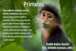 Primates of the World and India