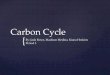 Carbon cycle PERIOD 3