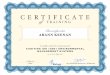 ISO 14001 Auditor_Training Certificate_Arann Keenan