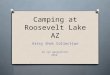 Camping at Roosevelt Lake, AZ: Artsy Shots