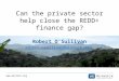 Can the private sector help close the REDD+ finance gap?