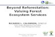 Beyond Reforestation: Valuing Forest Ecosystem Services