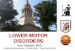 Lower motor disorders