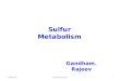 METABOLISM OF SULFUR, IODINE, MANGANESE,FLUORINE & SELENIUM