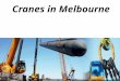 Cranes in Melbourne