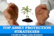 Top Asset Protection Strategies: A Guide for Finger Lakes Residents