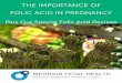 The importance of folic acid in pregnancy plus our special folic acid recipes-by merrion fetal health