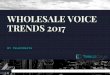 Wholesale Voice Trends 2017