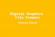 File types pro forma(1) shahz