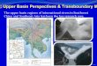 Upper Basin Perspectives and Trans-boundary Management