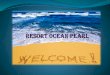Top Resort in Havelock | Andaman Package | Resort Ocean Pearl