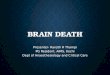 Brain Death and Preparation for Organ Donation