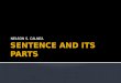 Sentence and its Parts