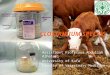 Veterinary important Clostridium species