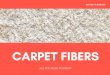 Carpet Fibers - All You Need To Know